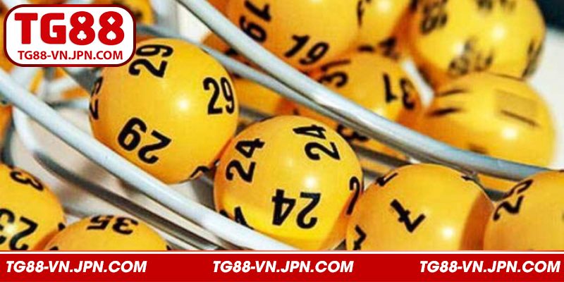 Cách nuôi khung ba ngày cực kỳ chuẩn xác