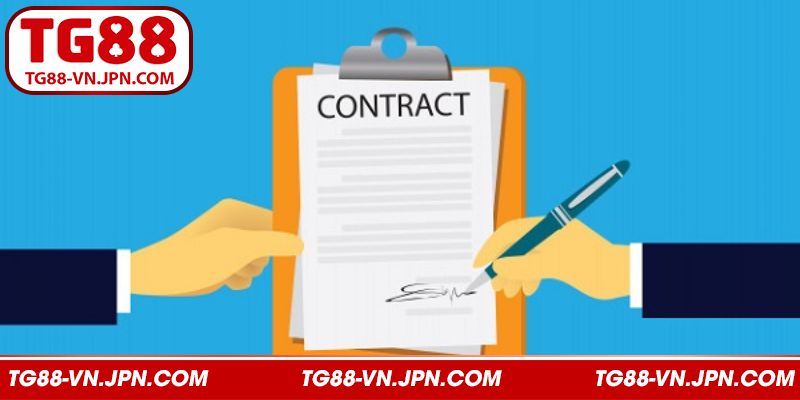 Đọc kỹ tất cả các điều khoản tại nhà cái